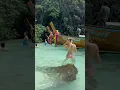 Download Lagu Discover The Ultimate Paradise: Phiphi Bikini Island In 2024!