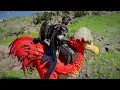 How to get the Leaping Kuku Bird Mount - Crimson Desert