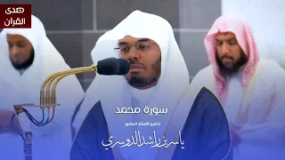سورة محمد للشيخ   أ د ياسر الدوسري من المسجد الحرام دندنها