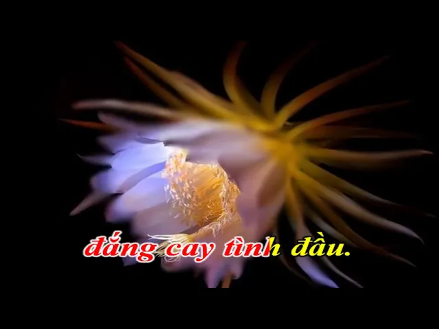 TÌNH PHỤ II Karaoke Tone Nữ