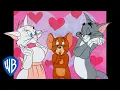 Download Lagu Tom \u0026 Jerry | Be My Valentine 💓 | Classic Cartoon Compilation | @wbkids​