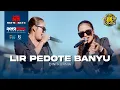 Download Lagu LIR PEDOTE BANYU - Dini Kurnia ( NEW MONATA LIVE ANNIVERSARY KE 7 PEMUDA TRIJATI )