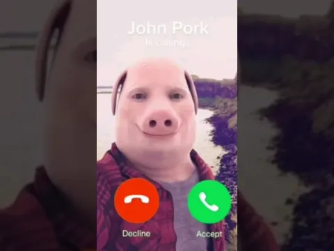 Download MP3 #pov John Pork te llama (John Pork os calling)  #johnpork #memes #shorts #llamada