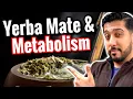 Yerba Mate for Beginners Does Yerba Mate Promote Visceral Fat Loss