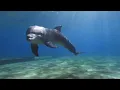 Beautiful Earth / Featuring Enigma- "The Child in Us"