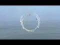 Novo Amor - Viridian (Visualiser)