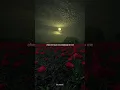 They Don't Care About Us - Michael Jackson | lyrics | aesthetic whatsapp Status | slowed | speed up