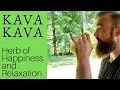 Download Lagu KAVA KAVA: The Herb of Happiness and Relaxation (Complete Review)