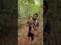 Download Lagu Pasang jerat dapat ayam hutan