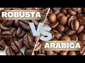 Download Lagu The Difference Between ARABICA and ROBUSTA - The Two Best Friends that Hate Each Other