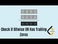 2980 Check if Bitwise OR Has Trailing Zeros Weekly Contest 378
