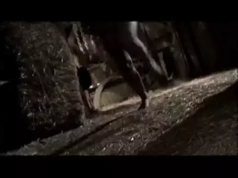 Ed Gein: The Butcher Of Plainfield - Trailer