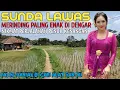 Lagu LAGU POP SUNDA PALING MERINDING BANYAK DI CARI