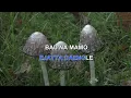 Download Lagu SUBANG KACAYYA By IWAN TOMPO Indonesian Malay Karaoke