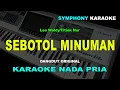Lagu SEBOTOL MINUMAN KARAOKE NADA PRIA/COWOK | Leo Waldy | Titiek Nur