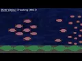 Multi-object tracking MOT