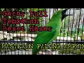 Download Lagu Cucak ijo full TEMBAKAN beset kasar || Masteran paling ampuh yang di cari JURI
