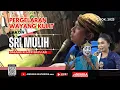 Lagu 🔴WAYANG KULIT LAKON SRI MULIH || KI MPP BAYU AJI ||