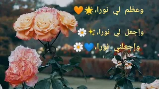   دعاء اللهم اجعل في قلبي نورا  مشاري العفاسي حالات واتس اب  في حب رسول الله دندنها