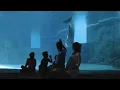 A Tour of Sandpearl Resort
