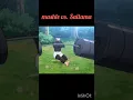 Download Lagu mashle vs saitama ( one punch man vs mashle ) #trending #anime  #mashle #saitama #vs #onepunchman