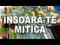 Download Lagu MUZICA DE PETRECERE – MITICA BLANDU SI FORMATIA ZORILE - INSOARA-TE MITICA