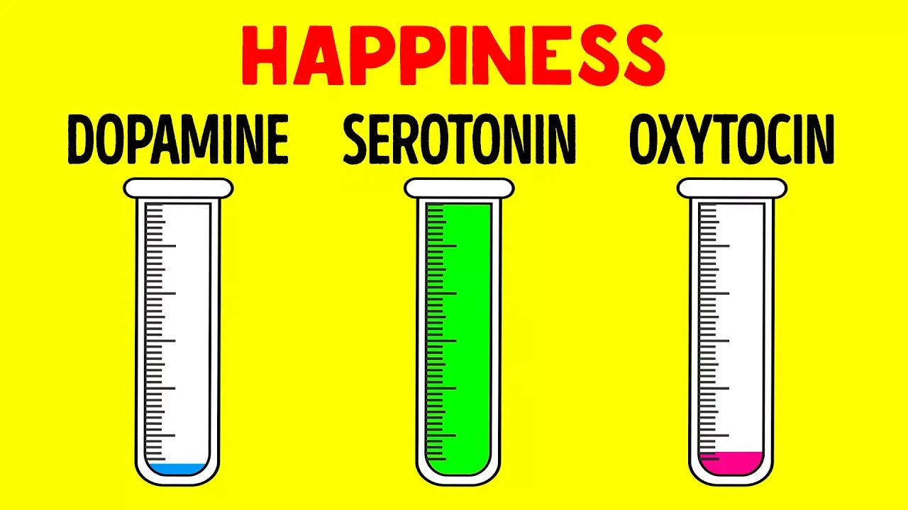 How Hormones Influence You and Your Mind