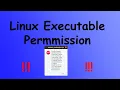 File not marked as executable in linux How to change file permissions in linux Easy fix