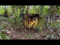Lagu Membuat Shelter Rahasia Yang Aman Dari binatang Buas Dalam Hutan Saat Camping 