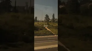 وبكت في الأرض العيون تألما   دندنها