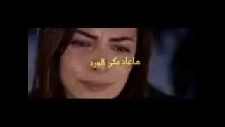 شادي رنجوس  تعي نرجع لبعض فديو كلب مجد الحلبي دندنها