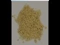 Download Lagu GOLD MINING~ SNIPING~THE RIVERS OF CALIFORNIA