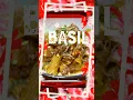 Basil Restaurant Holidays reel
