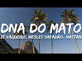 Lagu Zé Vaqueiro, Wesley Safadão, NATTAN - DNA do Mato (Letra/Lyrics)