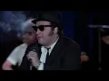 Everybody Needs Somebody to Love | The Blues Brothers | TUNE