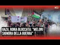 Download Lagu Palestina, migliaia in piazza a Roma \