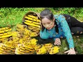 Download Lagu Dangerous journey Harvest forest Honey by Ms Sai - Fermented cassava | Ly Thi Sai Harvest