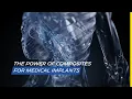 EP5 - Michelin lifechanging composites for INTERVERTEBRAL DISCS