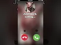 Lagu John Pork is calling you ( 3 )…