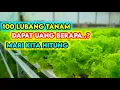 🤑Estimasi Biaya Produksi Dan Keuntungan Menanam Sayur Hidroponik 100 lubang