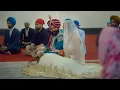 Hommie Call : Arjan Dhillon ( official video ) | Desi Crew | New Punjabi song 2022 | @hitsongs247