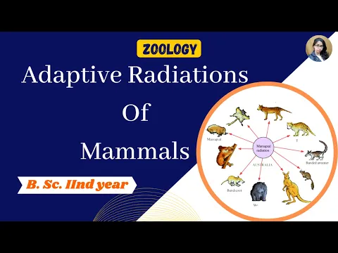 Download MP3 Adaptive Radiation of mammals in Hindi || B. Sc. 2nd year || Zoology