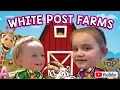 WHITE POST ANIMAL FARM FEEDING ANIMALS PETTING ZOO GOAT RING TAIL LEMUR WHITE POST FARM