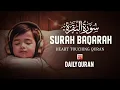 Download Lagu Surah Al Baqarah full ( quick recitation ) by Sheikh Mishary Al Afasy | سورة البقرة كاملة
