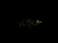 Particles comet
