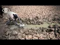 Lagu Survivre au lac Tchad, entre exode, surpêche et désertification- Documentaire Environnement- AMP