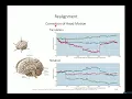 fMRI data preprocessing II
