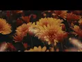 Run To The Father (Slowed + Reverb) - Cody Carnes