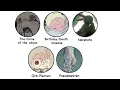 Download Lagu DEEPEST MYSTERIES in Made in Abyss