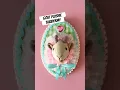 Make a plushie taxidermy with me